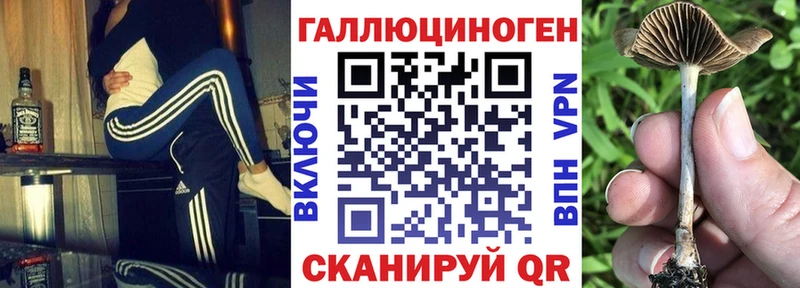 купить Егорьевск Галлюциногенные грибы мицелий